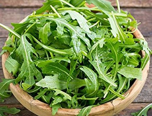 Pesto di rucola e mandorle