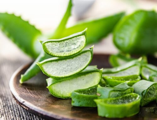 Aloe: tutto ciò che c’è da sapere